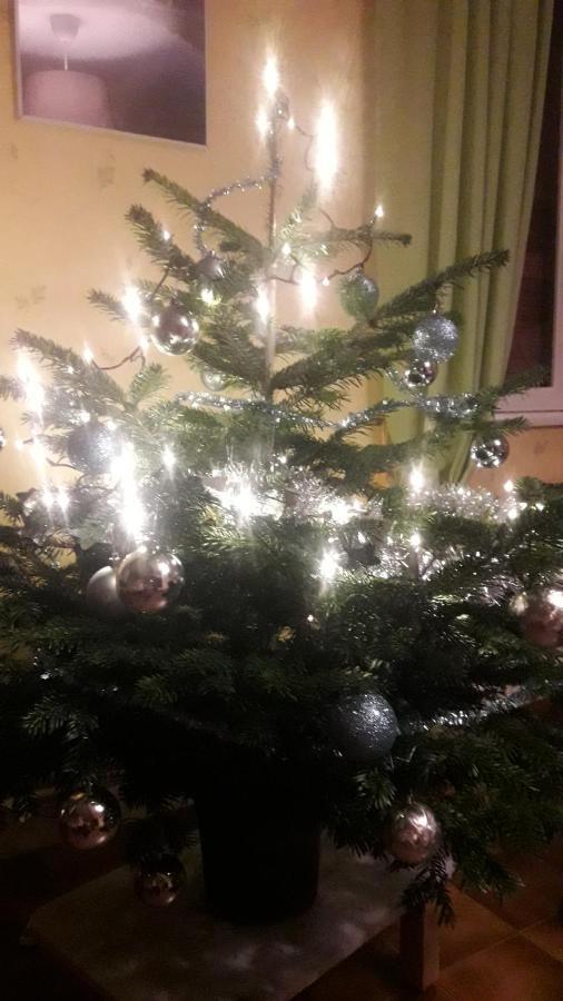 Gite De Famille Dans Les Vosges Saint Maurice sur Moselle Bagian luar foto